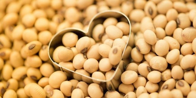 补蛋白、稳血糖、抗氧化!吃豆类好处不少!</