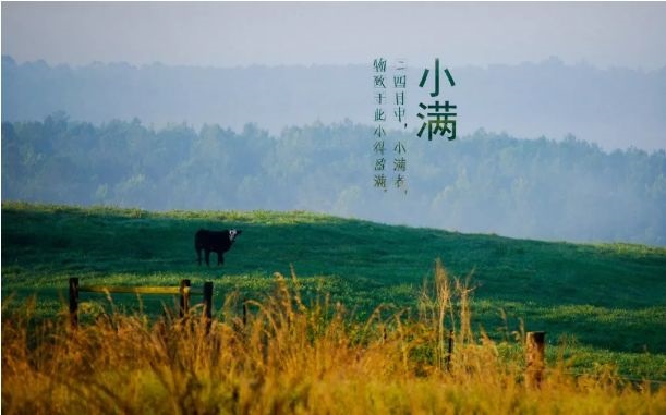 小满时节，万物葳蕤，暖意渐浓