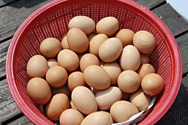 如何辨别土鸡蛋和普通鸡蛋的差别
